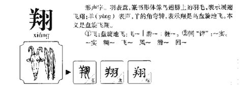 翔 五行 夢到桃子號碼